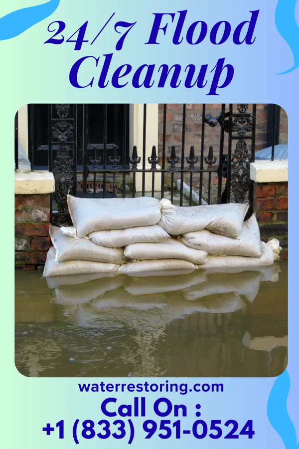 24/7 Flood Cleanup in Ailey, GA