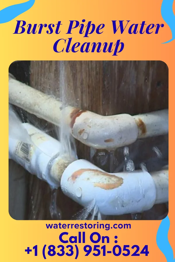 Burst Pipe Water Cleanup in Ailey, GA