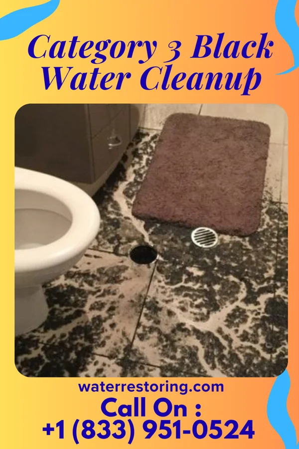 Category 3 Black Water Cleanup in Ailey, GA