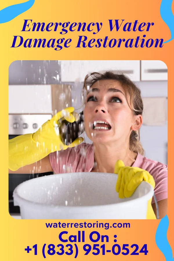 Emergency Water Damage Restoration in Ailey, GA