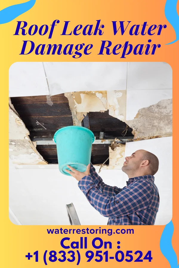 Roof Leak Water Damage Repair in Ailey, GA