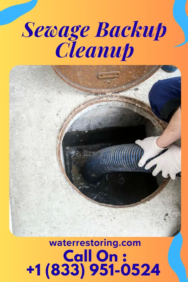 Sewage Backup Cleanup in Ailey, GA