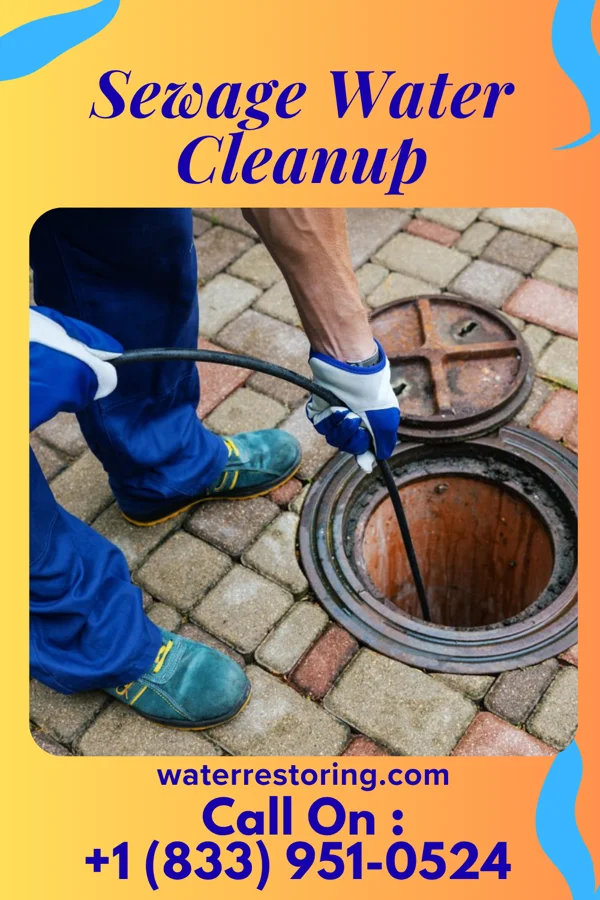 Sewage Water Cleanup in Ailey, GA